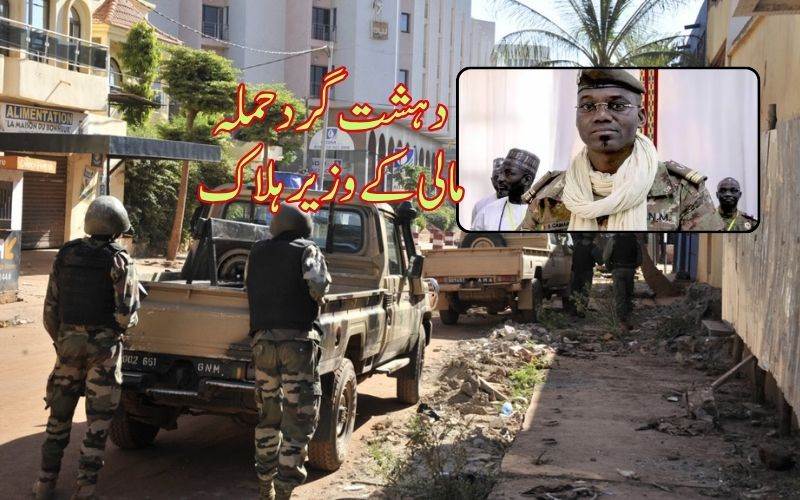 مالی کے وزیر دفاع دہشت گرد حملے میں ہلاک، ملک بھر میں الرٹ